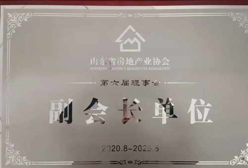 山東省房地產(chǎn)業(yè)協(xié)會(huì)副會(huì)長單位